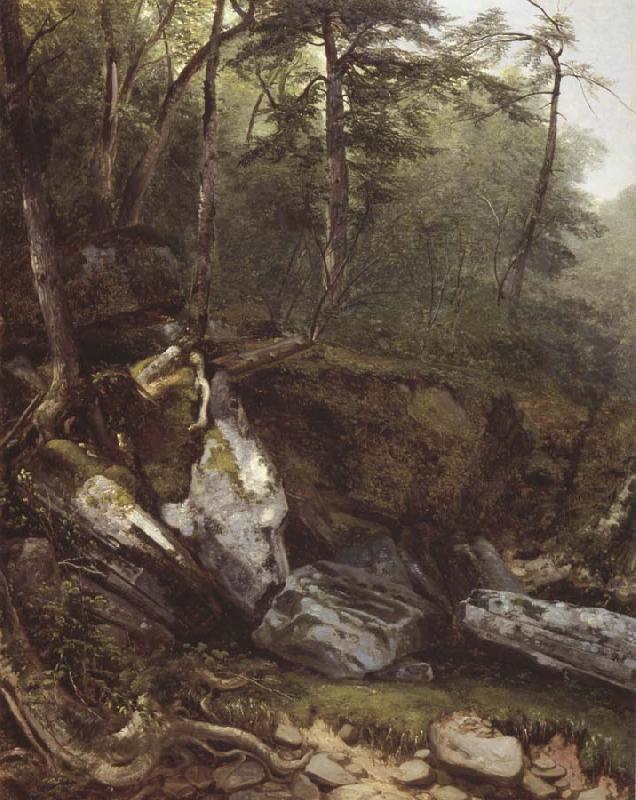 Asher Brown Durand Study from Nature rocks and trees in the Catskills oil painting image